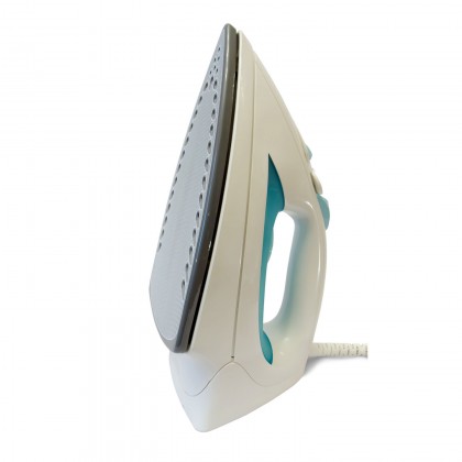 CDS professional steam iron